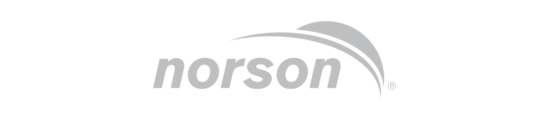 norson logo